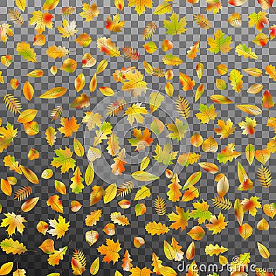 Falling autumn leaves. EPS 10 vector Vector Illustration