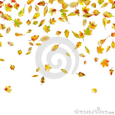 Falling autumn leaves. EPS 10 vector Vector Illustration