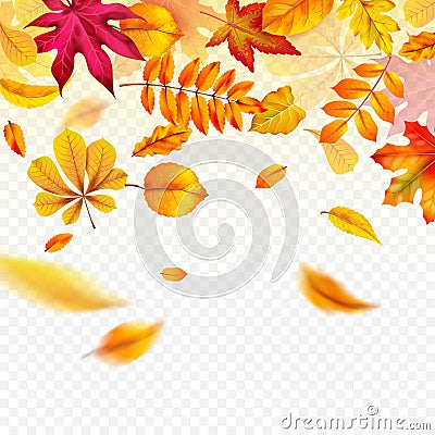 Falling autumn leaves. Flying yellow fall foliage. Autumnal frame border for banners, flyers and card vector template Vector Illustration