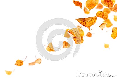 Falling Autumn Leaves Stock Photo