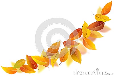 Falling autumn leaves Vector Illustration