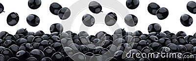 Falling black olives isolated on white background, heap of black pickled olives, seamless pattern Stock Photo