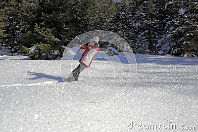 Falling in the crystal snow Stock Photo