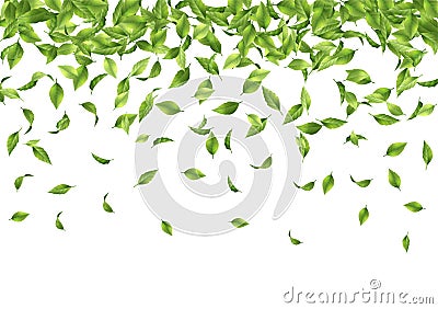 Falling green leaves Vector Illustration