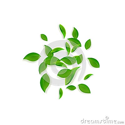 Falling green leaves. Fresh tea chaotic leaves fly Vector Illustration