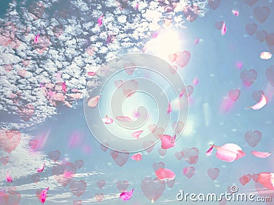 Falling heart sunshine blue sky fluffy white clouds falling pink petals copy space summer nature sunlight floral background Stock Photo