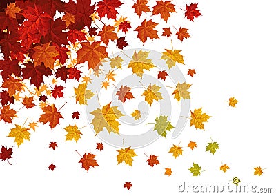 Falling leafs Vector Illustration