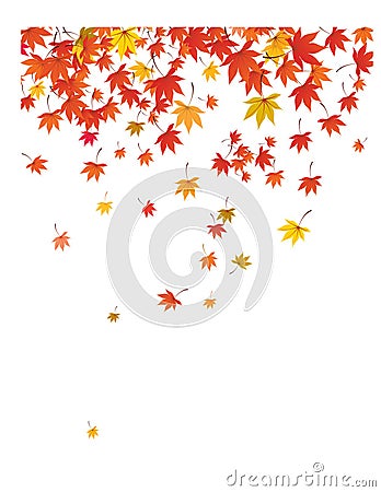 Falling leaves background. Vector Illustration