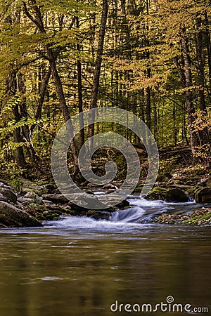 Falling leaves in bright autumn foliage surrounds Rondout Creek Stock Photo