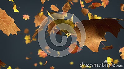 Falling Leaves Loopable Background Stock Footage - Video of blowing