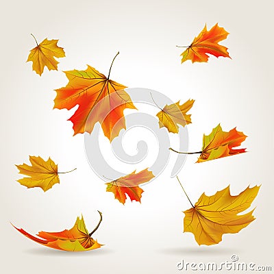 Falling leaves Vector Illustration