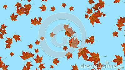 Falling Leaves Background Animation. Stock Footage - Video of love