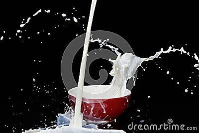 Falling milk flow near to the red bowl creating many splashes and swirl. Stock Photo