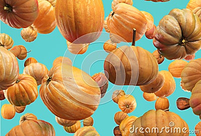 Falling Pumpkin isolated on blue background, selective focus Stock Photo