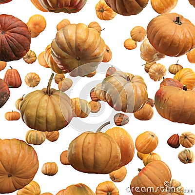 Falling Pumpkin isolated on white background, selective focus Stock Photo