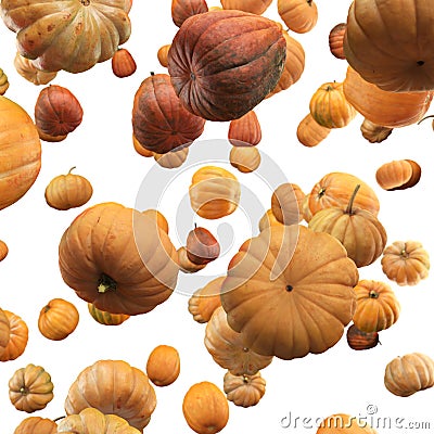 Falling Pumpkin isolated on white background, selective focus Stock Photo