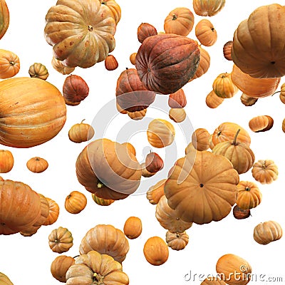 Falling Pumpkin isolated on white background, selective focus Stock Photo