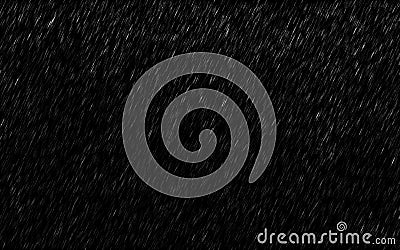 Falling raindrops isolated on dark background. Heavy rain and weather storm in raining season Stock Photo