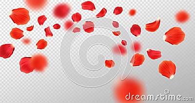 Falling red rose petals isolated on transparent background Cartoon Illustration