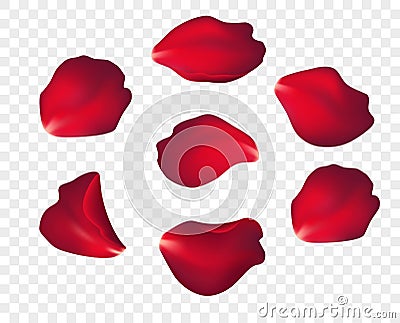 Falling red rose petals isolated on white background. Vector illustration Vector Illustration