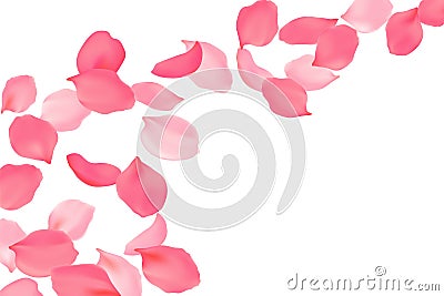 Falling rose petals bright pink blossom. Sakura cherry flying flowers. 3d realistic design. Vector illustration Vector Illustration