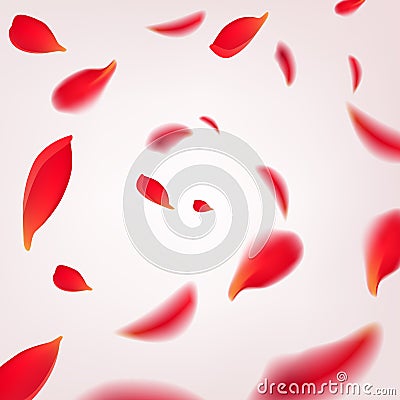 Falling swirl of red rose petals isolated on white background. Vector illustration with beauty roses petals frame Vector Illustration