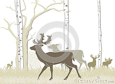 Fallow deer Vector Illustration