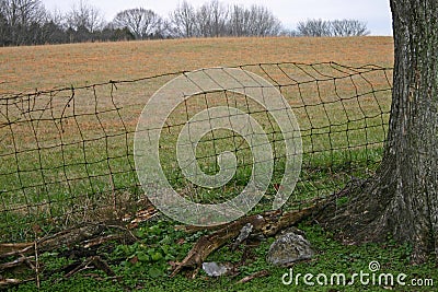 Fallow Field Stock Photo