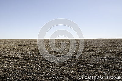 Fallow field ready for planting a new crop. Stock Photo