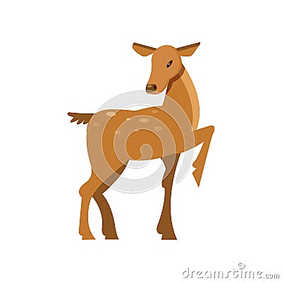 Fallow sika roe deer, wild animal cartoon vector Illustration Vector Illustration