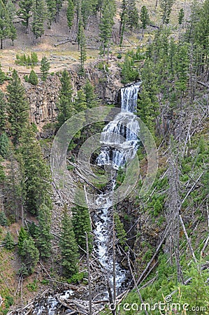 Falls in One of the many scenery of Yellowstone National Park, W Stock Photo