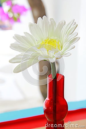 False flower Stock Photo