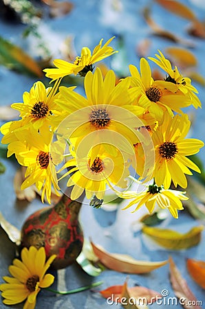 False Sunflower (Heliopsis helianthoides) in a vase Stock Photo
