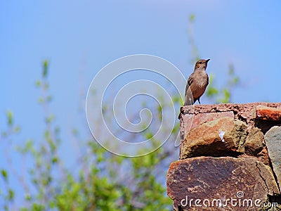 Familiar chat Stock Photo