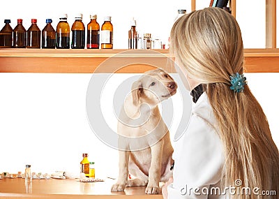 Familiarity puppy and vet Stock Photo