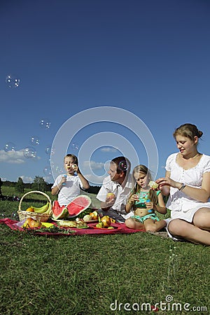 Families picnic Stock Photo