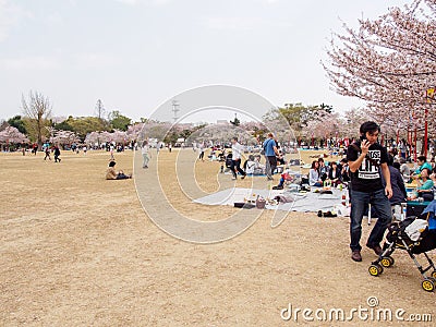 Families picnic under Cherry Blossom trees, Himeji Castle, Japan Editorial Stock Photo