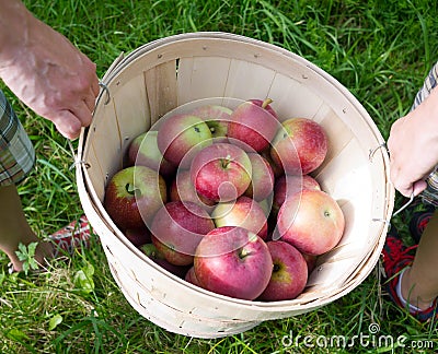 Family Apple Picking Stock Photo