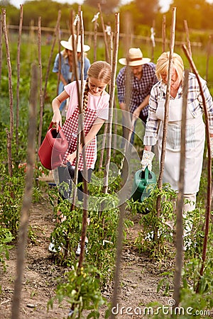 Family business in garden Stock Photo