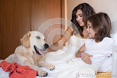 Family with dog in the bed Stock Photo