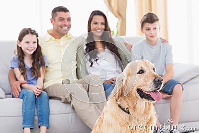 Family and dog watching TV together Stock Photo