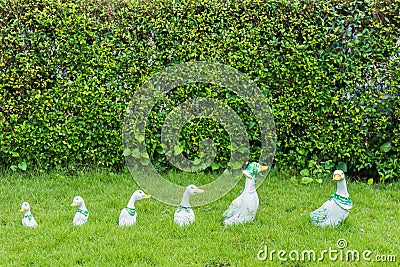 Family duck doll in the garden.Thailand Stock Photo
