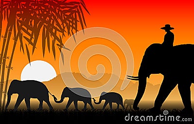 Family of elephants Stock Photo
