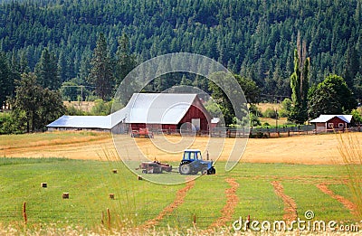 Family Farm Stock Photo