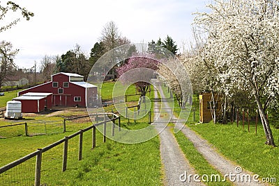 Family farm in rural Oregon. Stock Photo