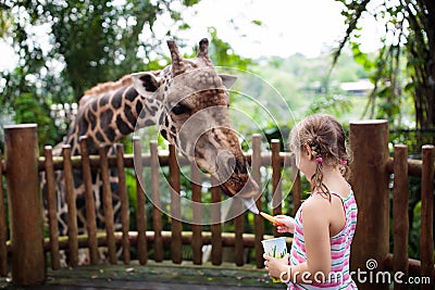 Family feeding giraffe in zoo. Children feed giraffes in tropical safari park during summer vacation. Kids watch animals. Little Stock Photo