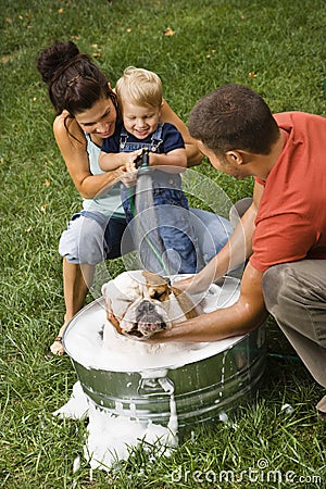 Family giving dog a bath. Stock Photo