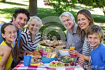 Family having a picnic Stock Photo