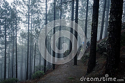 Family of hikers going down trail on cold rainy day in the forest Stock Photo