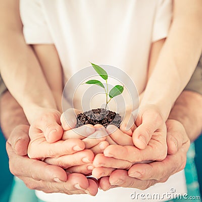 Family holding young sprout in hands Stock Photo